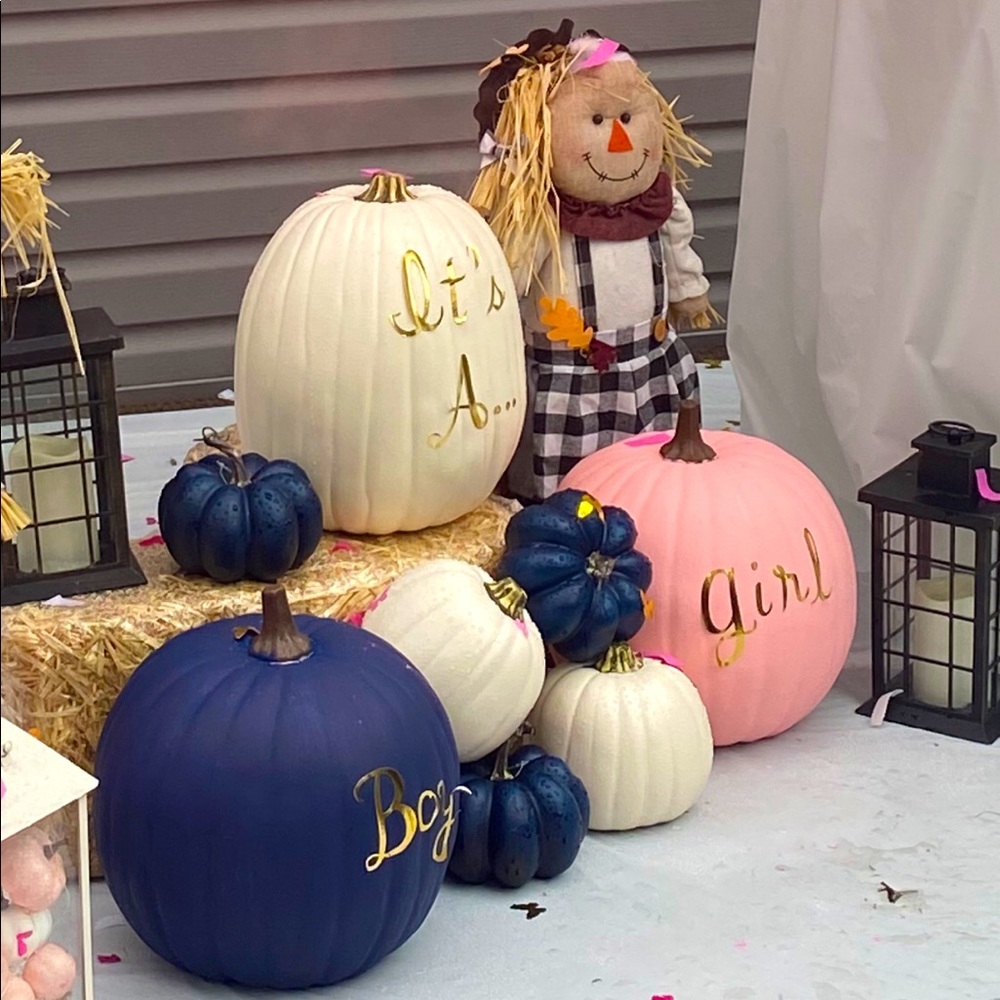 Pumpkin Gender Reveal